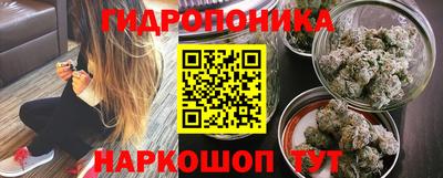 spice Сланцы
