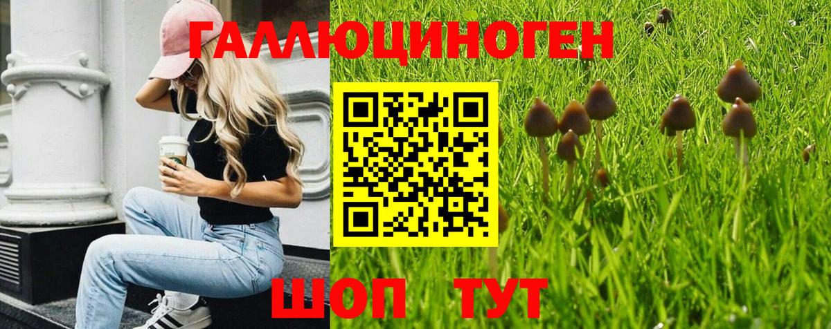 Псилоцибиновые грибы прущие грибы Самара